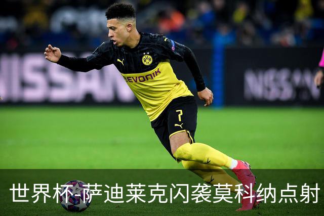 世界杯-萨迪莱克闪袭莫科纳点射 捷克痛失好局1-1南非