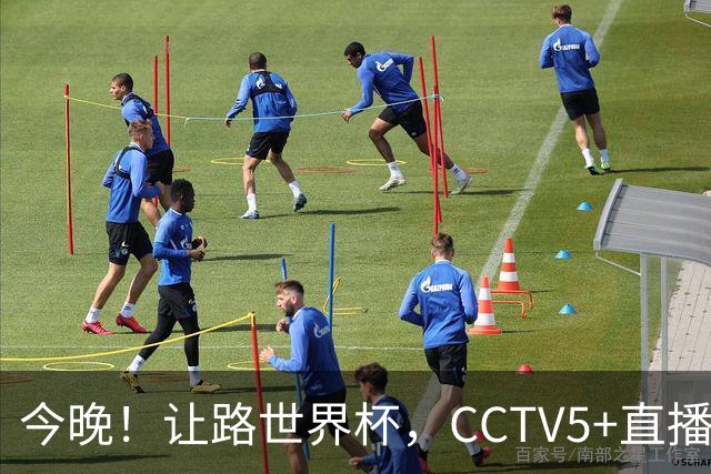今晚！让路世界杯，CCTV5+直播中国女排VS法国，小将领衔冲击5连胜