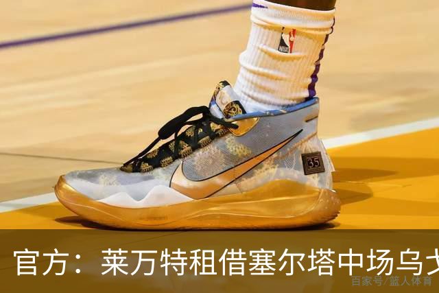 官方：莱万特租借塞尔塔中场乌戈-索特洛