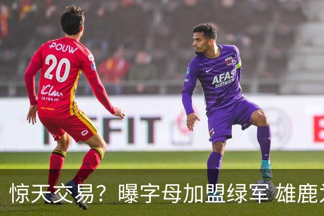 惊天交易？曝字母加盟绿军 雄鹿为布朗寻找第三方