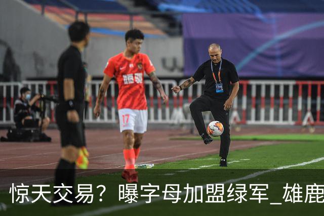 惊天交易？曝字母加盟绿军 雄鹿为布朗寻找第三方