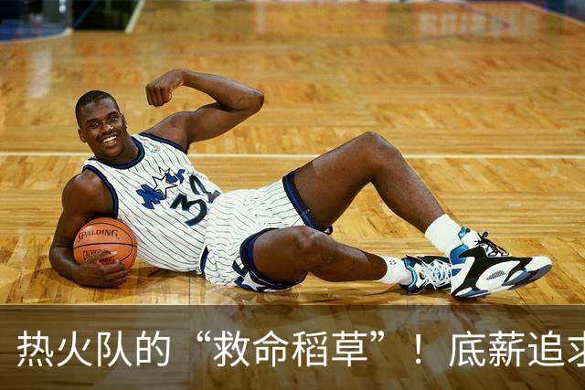热火队的“救命稻草”！底薪追求詹姆斯？字母哥是不是选错了？