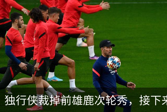独行侠裁掉前雄鹿次轮秀，接下来他还有机会重返NBA赛场吗？